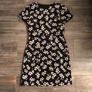 Black LOFT Dress